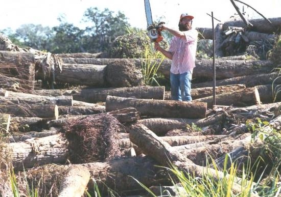 Log Pile